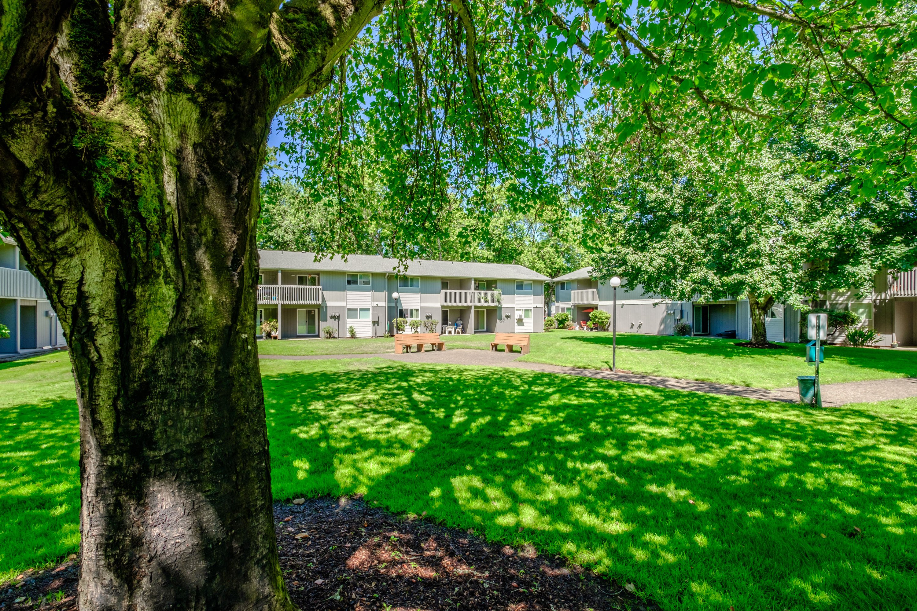 Sequoia Apartments | Springfield, OR